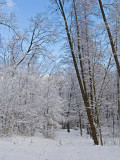 winter2008_4.jpg