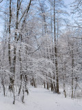 winter2008_5.jpg