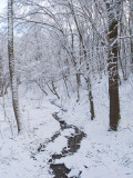 winter2008_6.jpg