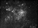 NGC 2070 or the Tarantula Nebula