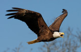 1D3_6251_DxO_raw.jpg