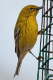 IMG_1707_DxO_RAW.jpg