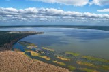 Newnans Lake, Gainesville