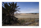 Parco Nazionale di Souss-Massa