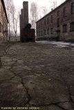 raccontare Auschwitz - Birkenau 7