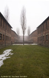 raccontare Auschwitz - Birkenau 8