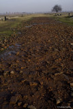 raccontare Auschwitz - Birkenau 19