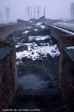 raccontare Auschwitz  - Birkenau 22