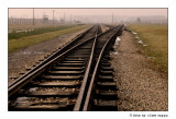 ricordare Auschwitz - Birkenau 15