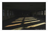 ricordare Auschwitz - Birkenau 33