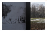 ricordare Auschwitz - Birkenau 46