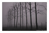 ricordare Auschwitz - Birkenau 53