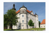 Ricordare il Castello di Hartheim con Mario Limentani - 4