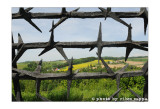 Ricordare Mauthausen con Mario Limentani - 58