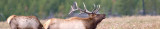 aaaIMG_0186 copy.jpg
