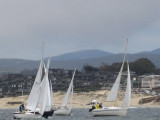 Monterey 001.jpg