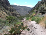 Bandelier_Trail01.jpg