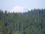DSCF0368.jpg