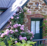 Pinkie- loft verandah