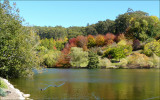 Mt Lofty Botanic Garden