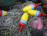 Lobster floats