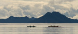 Kenai Fjords Kayaking