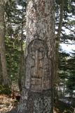 Tree carving