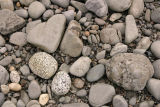 Rocky shore