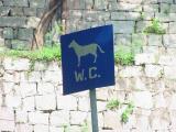 Monte Fort - this is a sign for a patch where you take your dog for WC break