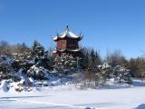 Chinese Garden in winter