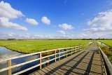 Wide Dutch views