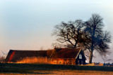 Big windmill behind