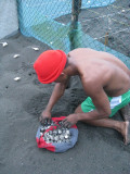 Re-burying the turtle eggs collected that morning