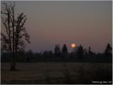 THE FULL MOON AT SUNRISE