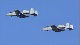 CRW_4000.jpg