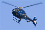 CRW_4197.jpg