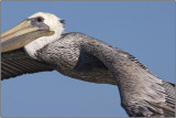 CRW_4654.jpg