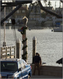 CRW_5335.jpg