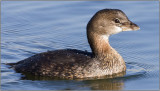 CRW_4901.jpg