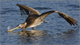 CRW_5143.jpg