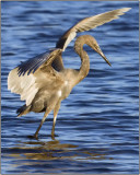 CRW_5236.jpg
