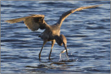 CRW_5240b.jpg