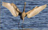 CRW_5261.jpg