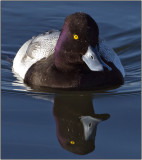 CRW_5491.jpg