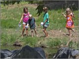 IMG_9377b.jpg