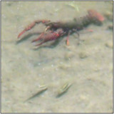 IMG_9363b.jpg