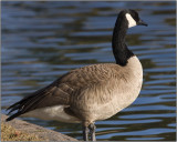 CRW_8830.jpg