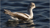 CRW_9248.jpg