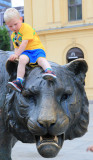 Boy riding the Oslo Tiger