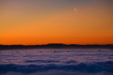 Through the Fog